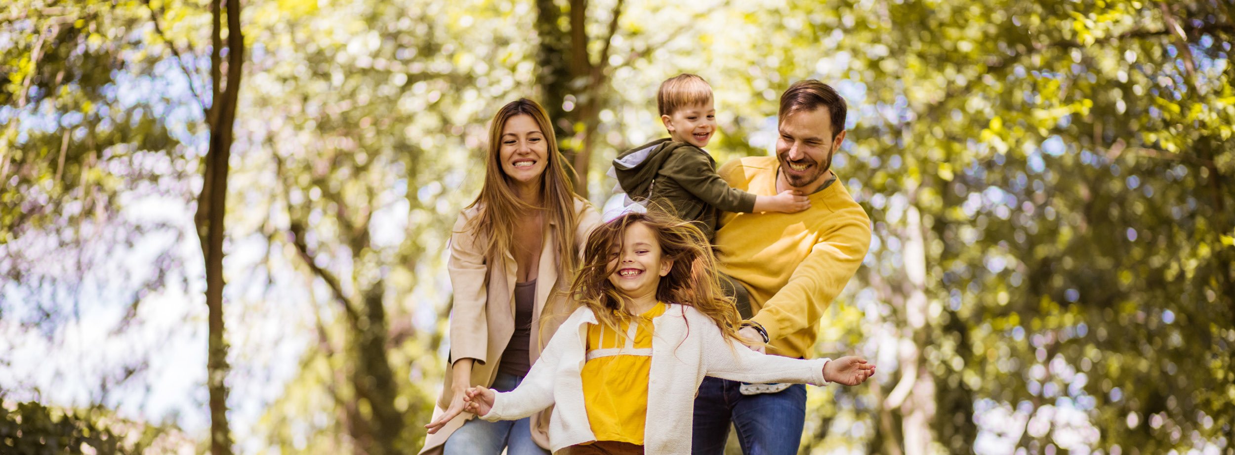 personal-insurance-solutions-cards4